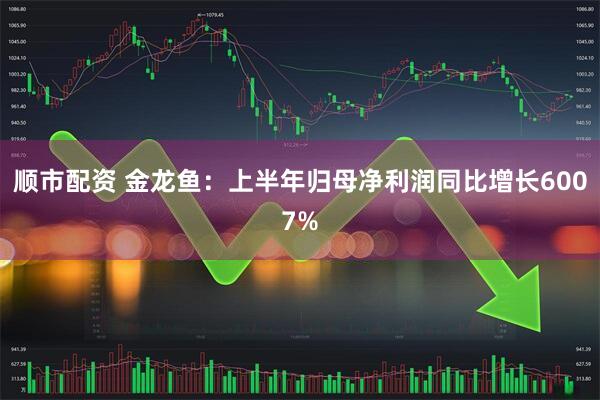 顺市配资 金龙鱼：上半年归母净利润同比增长6007%