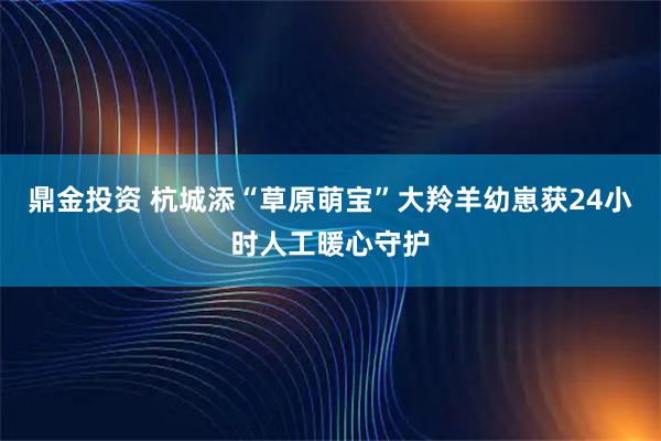 鼎金投资 杭城添“草原萌宝”大羚羊幼崽获24小时人工暖心守护