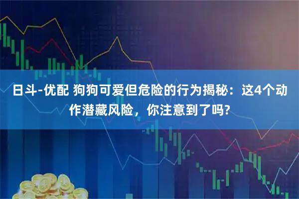 日斗-优配 狗狗可爱但危险的行为揭秘:这4个动作潜藏风险,你注意到了吗?