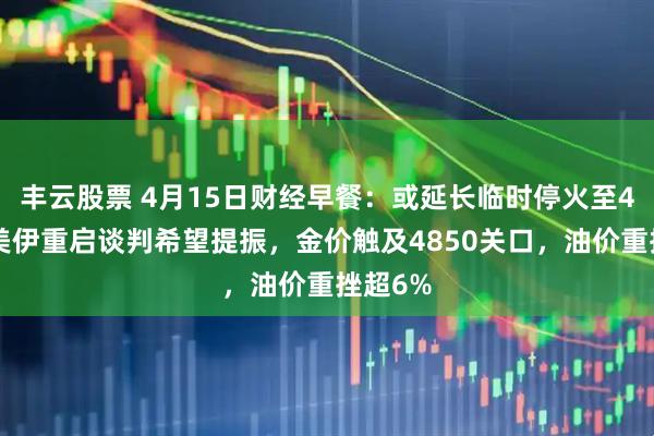 丰云股票 4月15日财经早餐：或延长临时停火至45天！美伊重启谈判希望提振，金价触及4850关口，油价重挫超6%